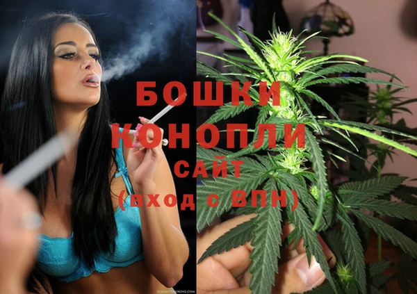 стаф Аркадак