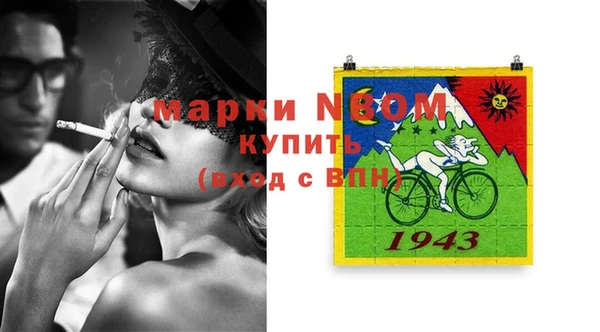 стаф Аркадак