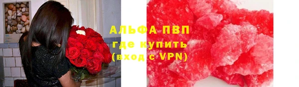 твердый Арсеньев