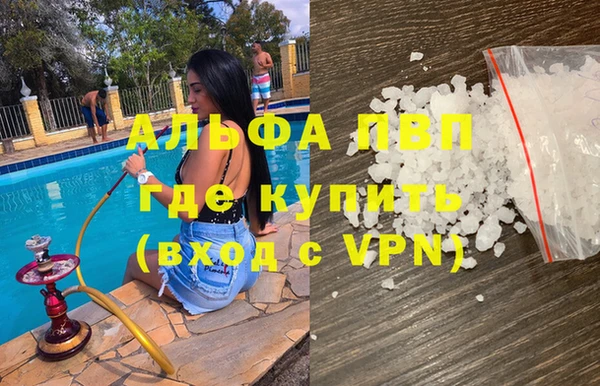 стаф Аркадак