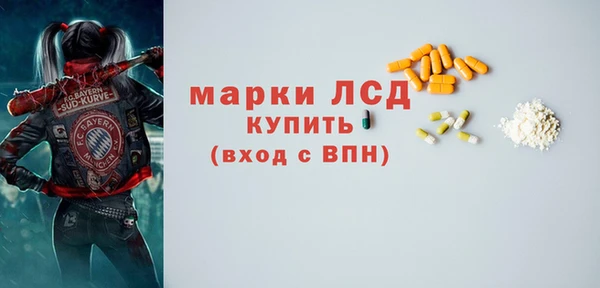 твердый Арсеньев