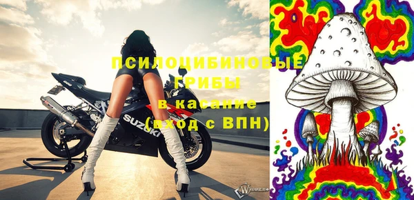 стаф Аркадак
