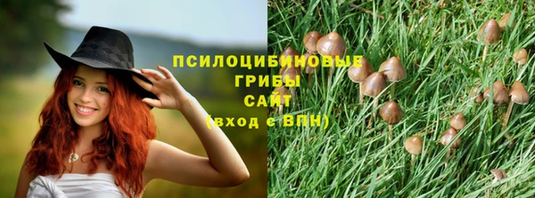 твердый Арсеньев