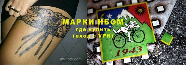 твердый Арсеньев