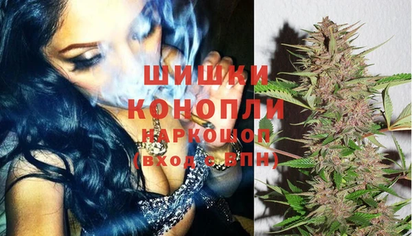 стаф Аркадак